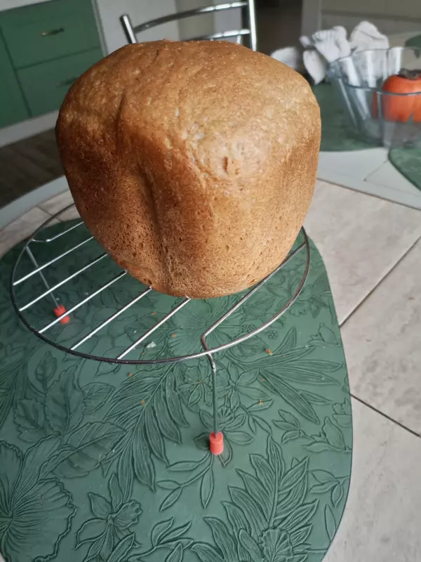 Мини-хлебопечка Panasonic SD PN100