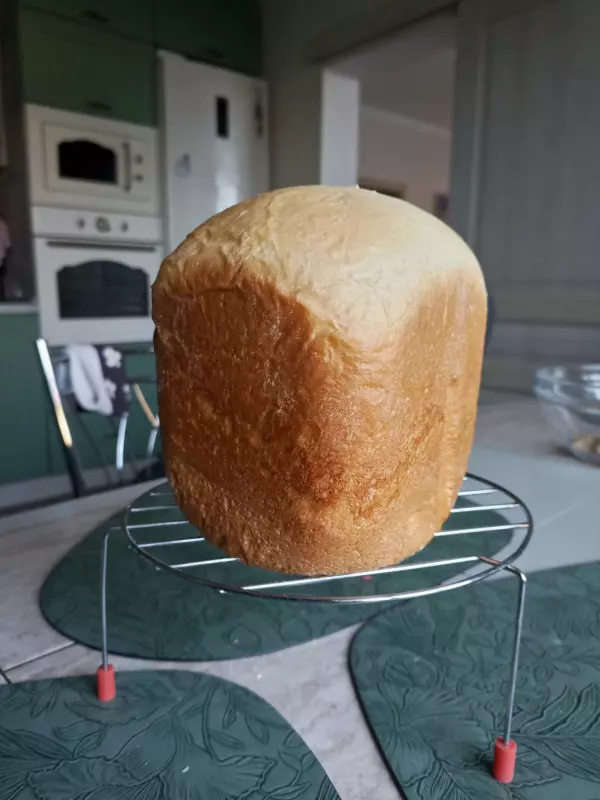 Мини-хлебопечка Panasonic SD PN100