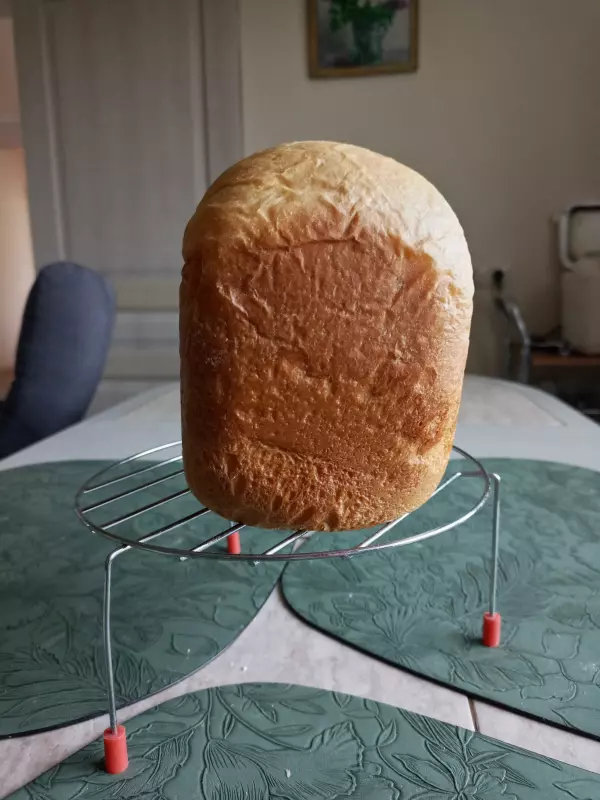 Мини-хлебопечка Panasonic SD PN100