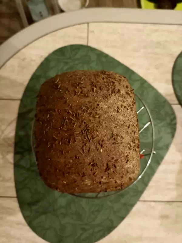 Мини-хлебопечка Panasonic SD PN100