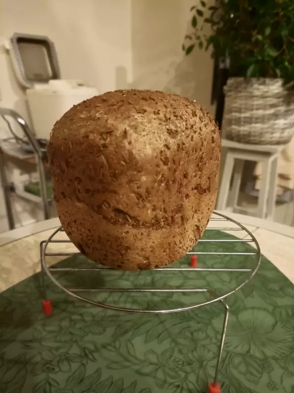 Мини-хлебопечка Panasonic SD PN100