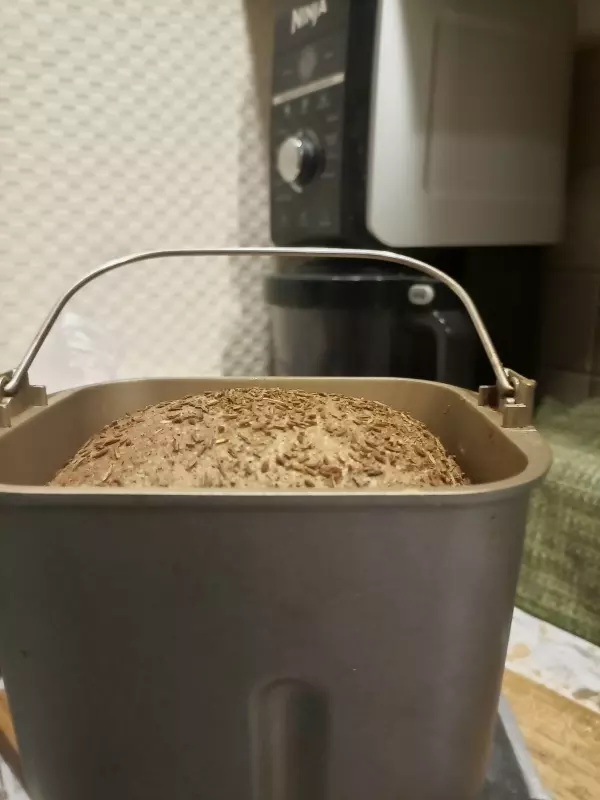 Мини-хлебопечка Panasonic SD PN100