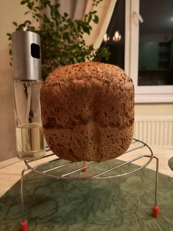 Мини-хлебопечка Panasonic SD PN100