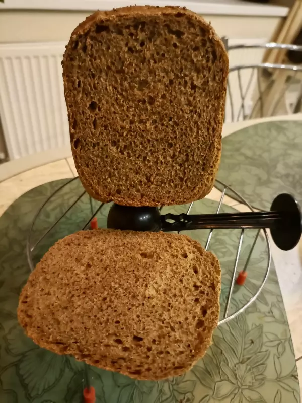 Мини-хлебопечка Panasonic SD PN100