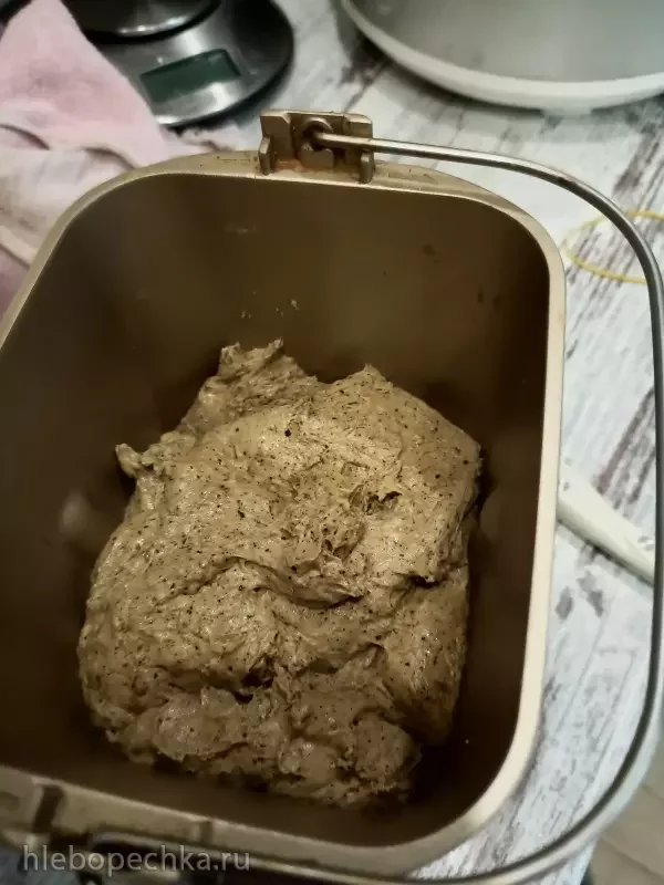 Мини-хлебопечка Panasonic SD PN100