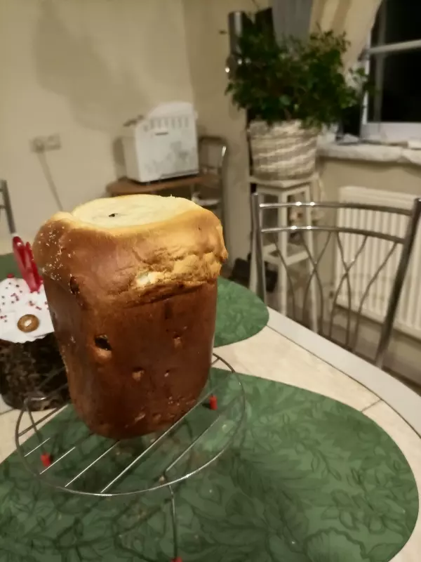 Мини-хлебопечка Panasonic SD PN100