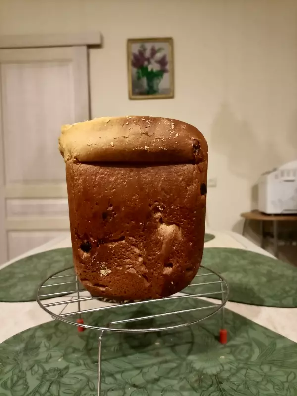 Мини-хлебопечка Panasonic SD PN100