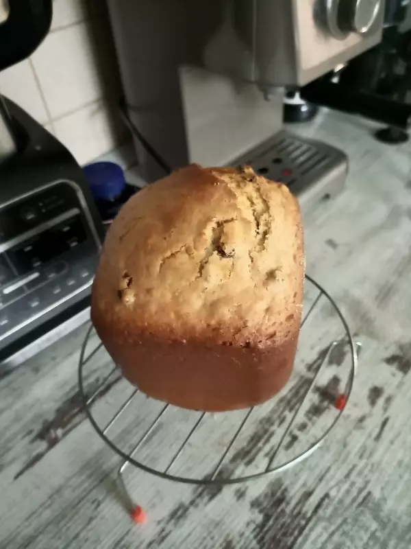 Мини-хлебопечка Panasonic SD PN100