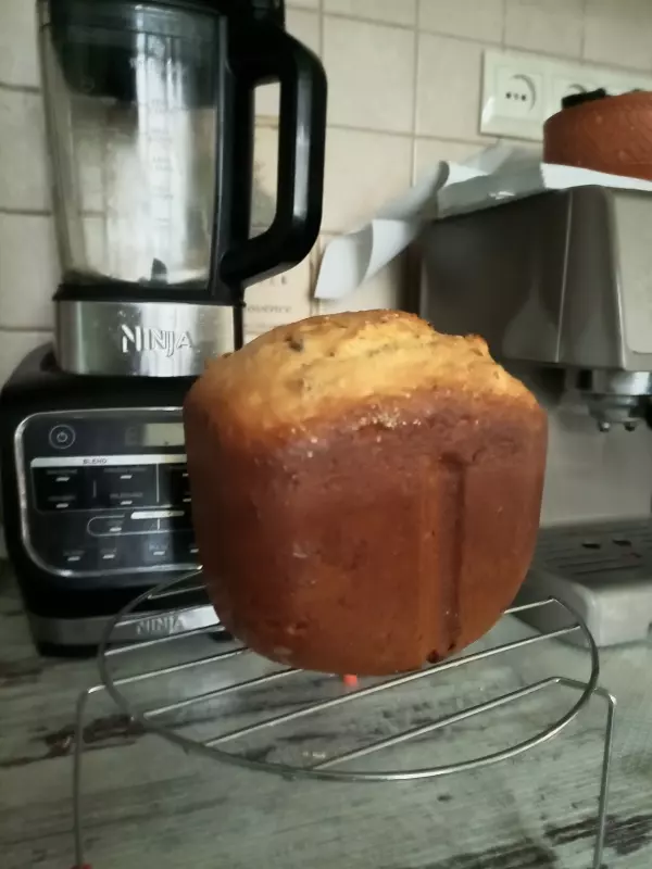 Мини-хлебопечка Panasonic SD PN100