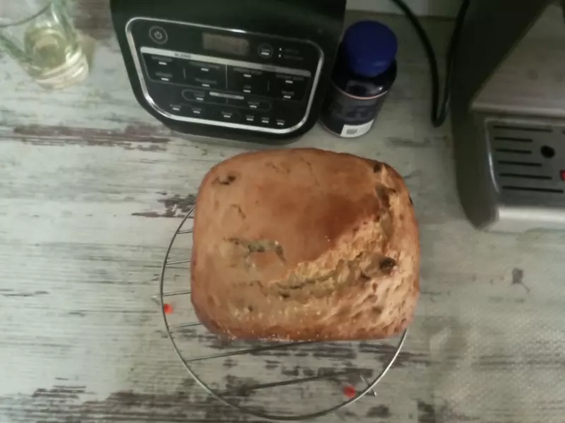 Мини-хлебопечка Panasonic SD PN100