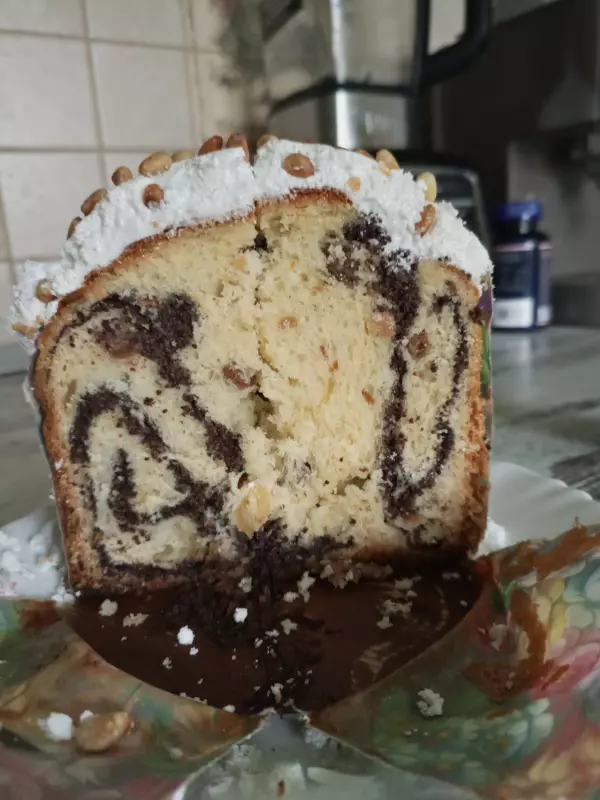 Мини-хлебопечка Panasonic SD PN100