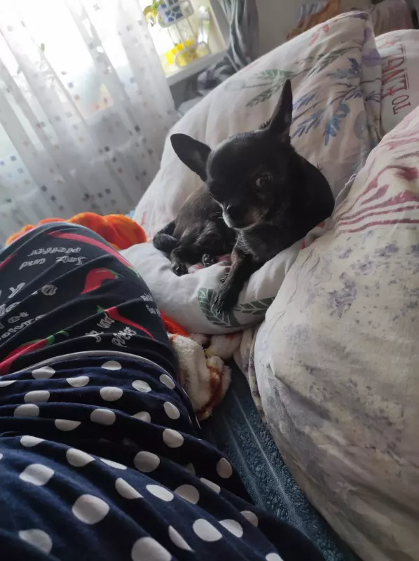 Вышивка крестиком