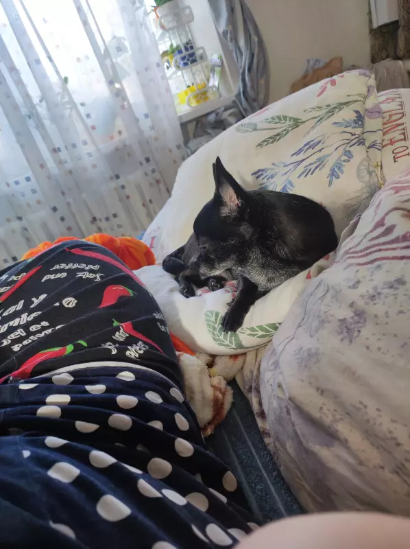 Вышивка крестиком