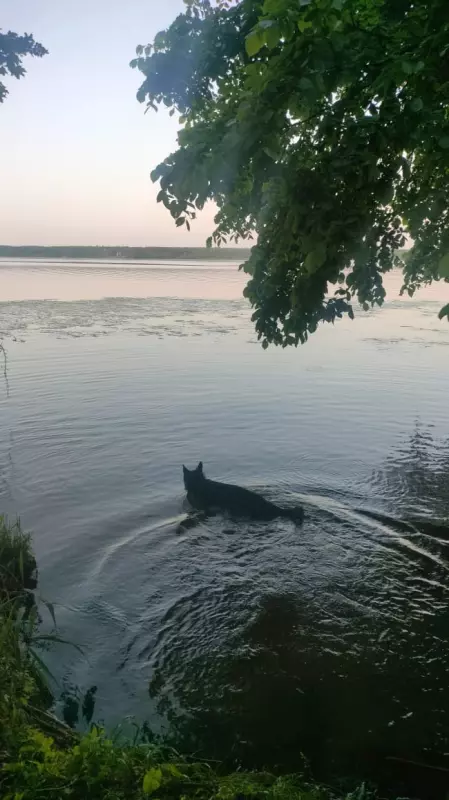 Вышивка крестиком