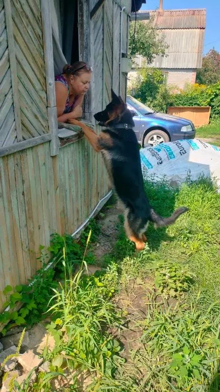 Вышивка крестиком