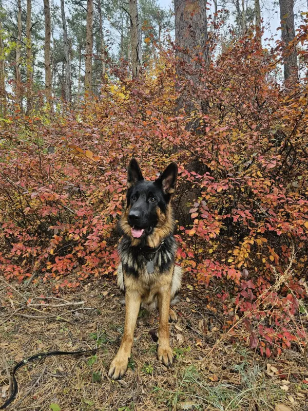 Вышивка крестиком