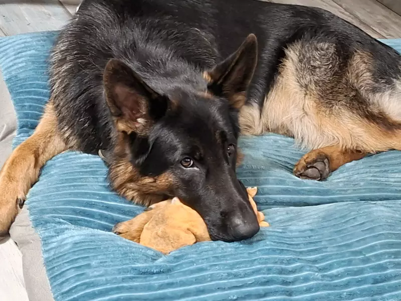 Вышивка крестиком