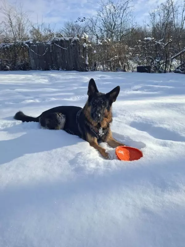 Вышивка крестиком