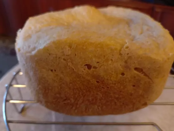 Мини-хлебопечка Panasonic SD PN100