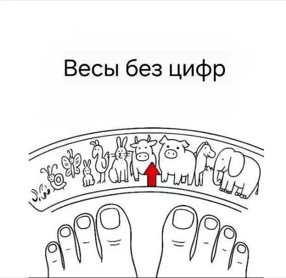 Посмеялся сам - поделись с другом!!!