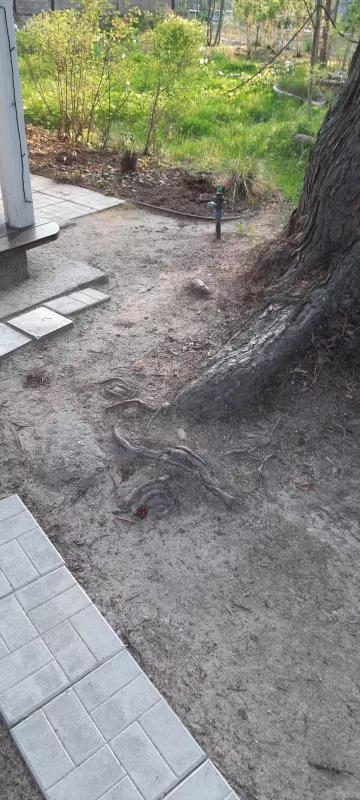 Загородная жизнь - обустройство на земле во всем разнообразии