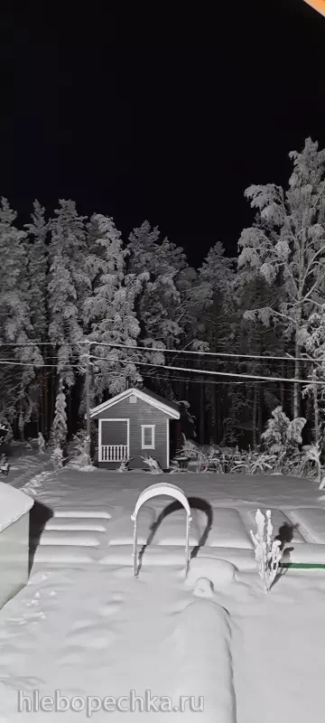 Дизайн участка