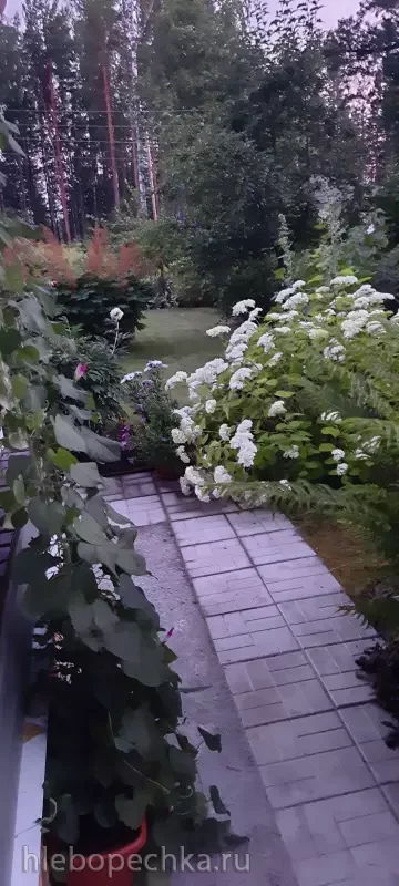 Дизайн участка