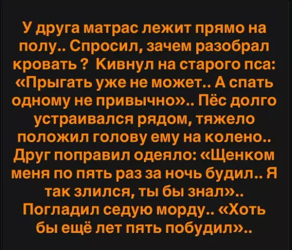 Человек собаке друг!!!