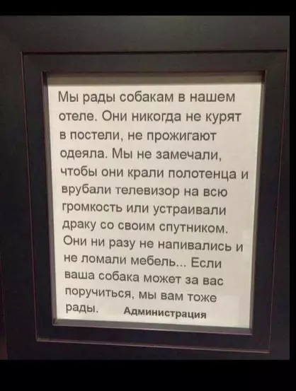 Человек собаке друг!!!