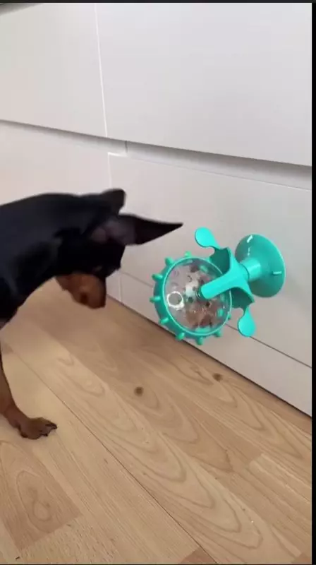 Человек собаке друг!!!