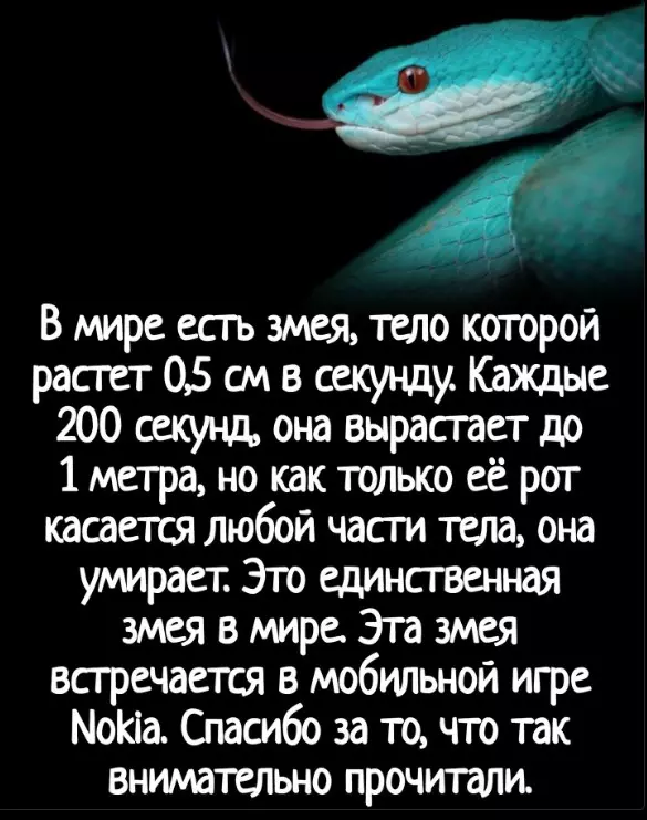 Посмеялся сам - поделись с другом!!!