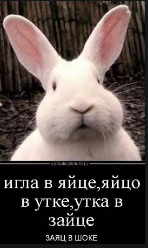 Посмеялся сам - поделись с другом!!!