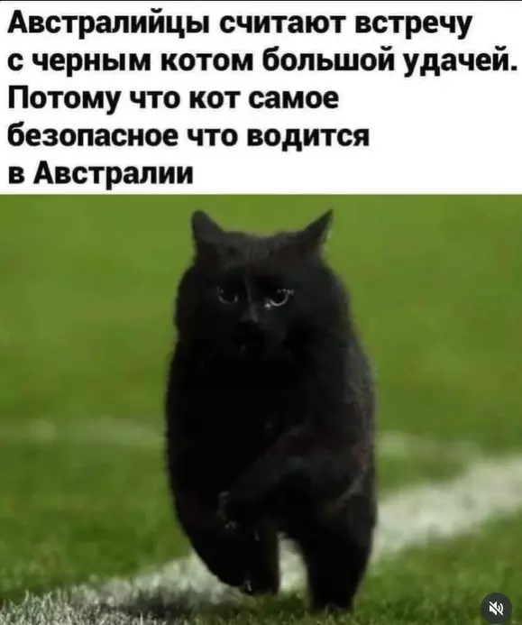 Посмеялся сам - поделись с другом!!!