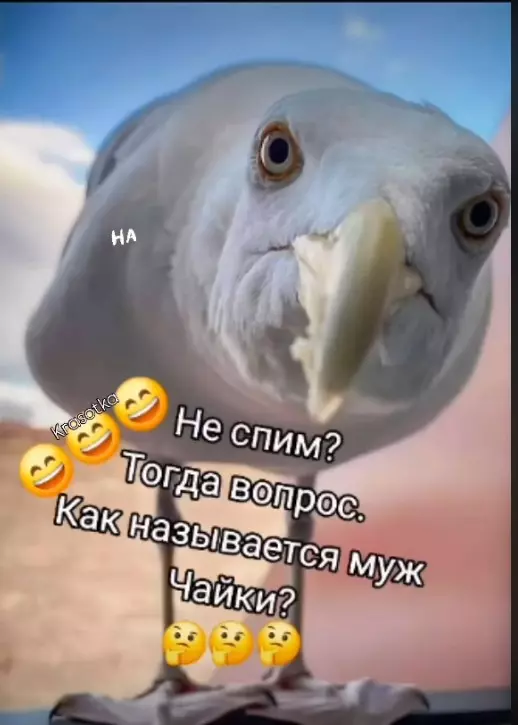 Посмеялся сам - поделись с другом!!!