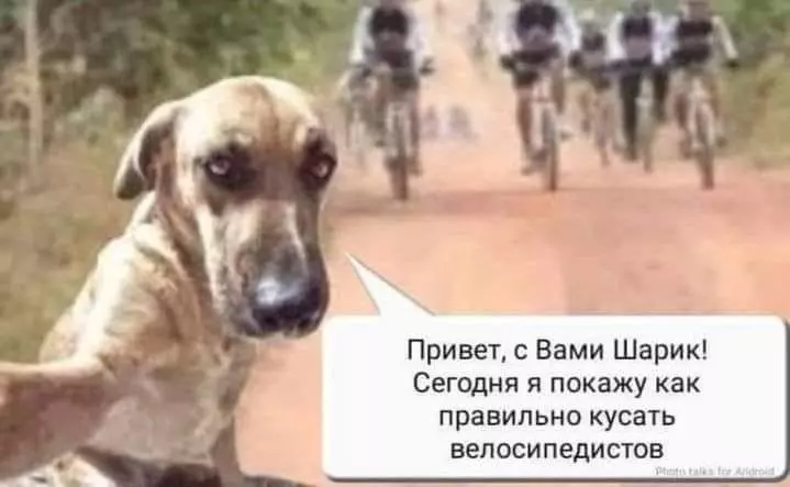 Посмеялся сам - поделись с другом!!!