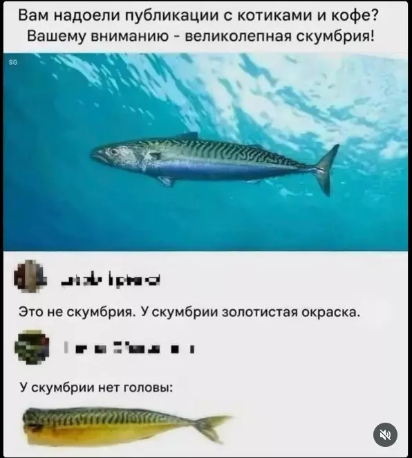 Посмеялся сам - поделись с другом!!!