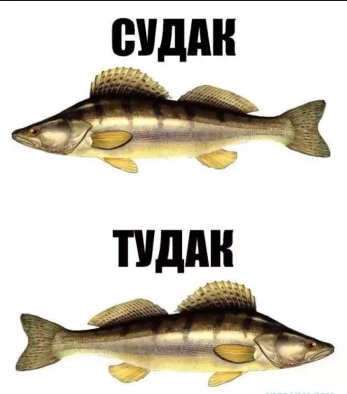 Посмеялся сам - поделись с другом!!!