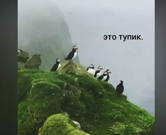 Посмеялся сам - поделись с другом!!!