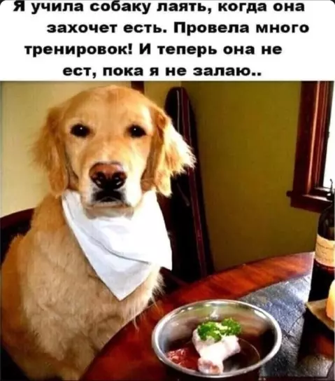 Посмеялся сам - поделись с другом!!!