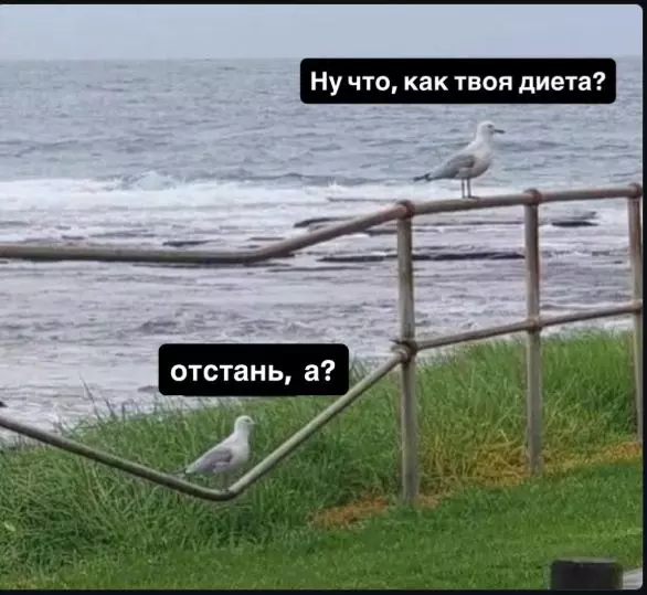 Посмеялся сам - поделись с другом!!!