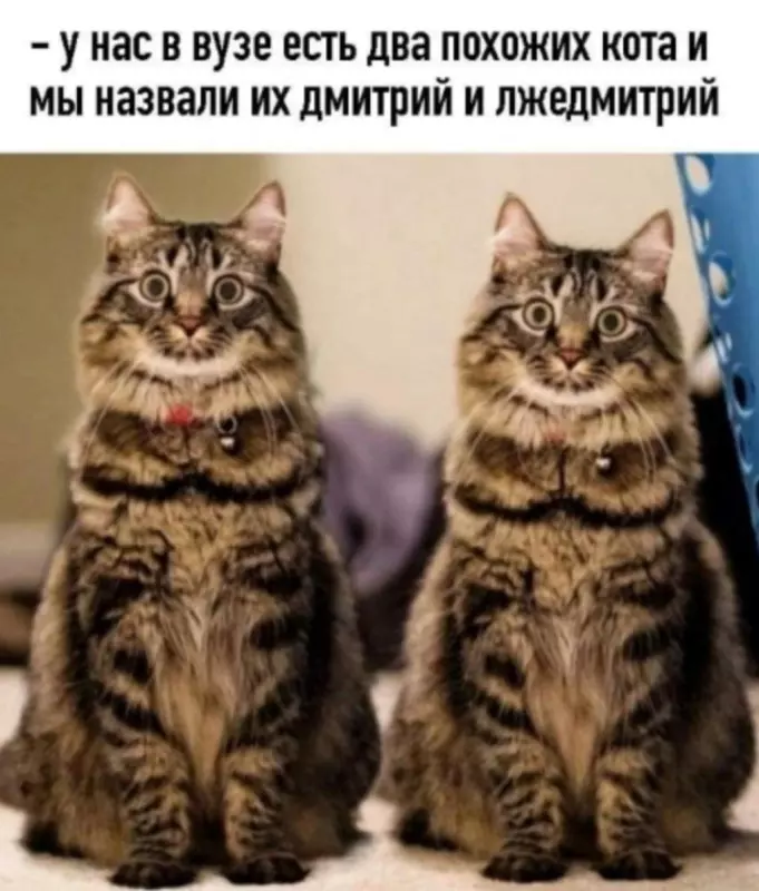 Посмеялся сам - поделись с другом!!!