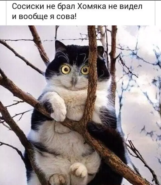 Посмеялся сам - поделись с другом!!!