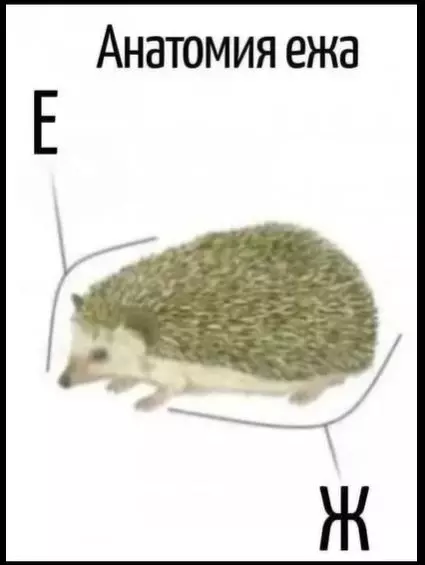 Посмеялся сам - поделись с другом!!!