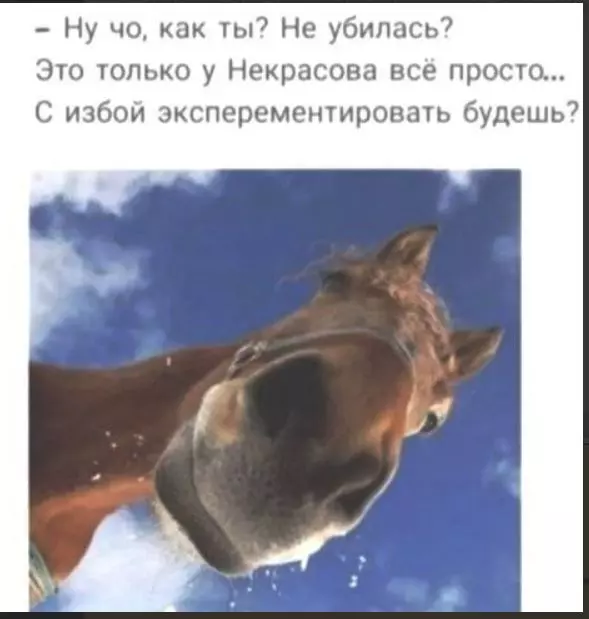 Посмеялся сам - поделись с другом!!!