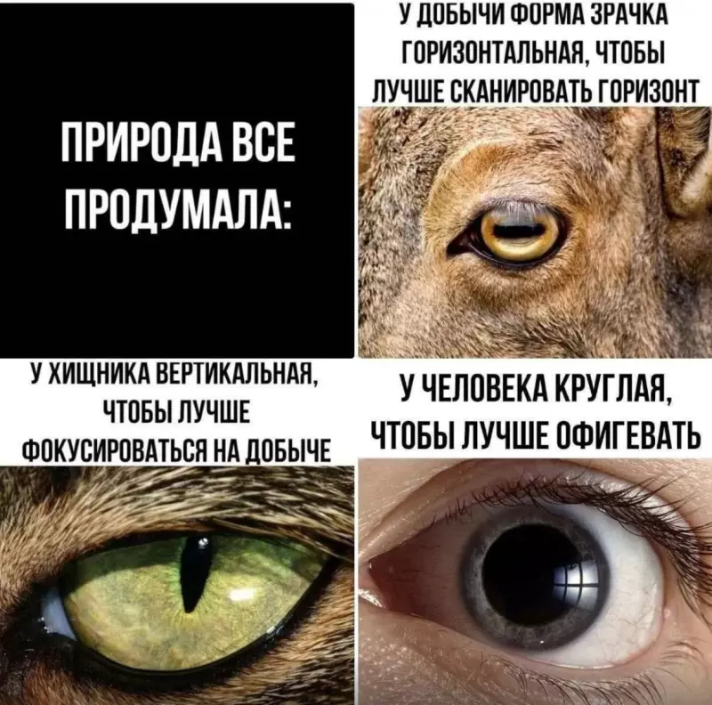 Посмеялся сам - поделись с другом!!!