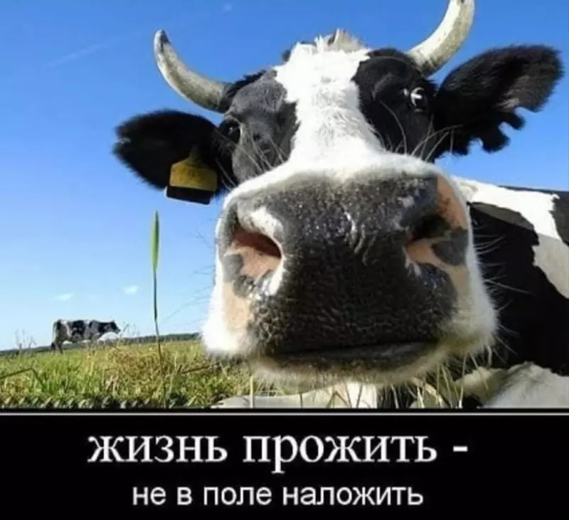 Посмеялся сам - поделись с другом!!!