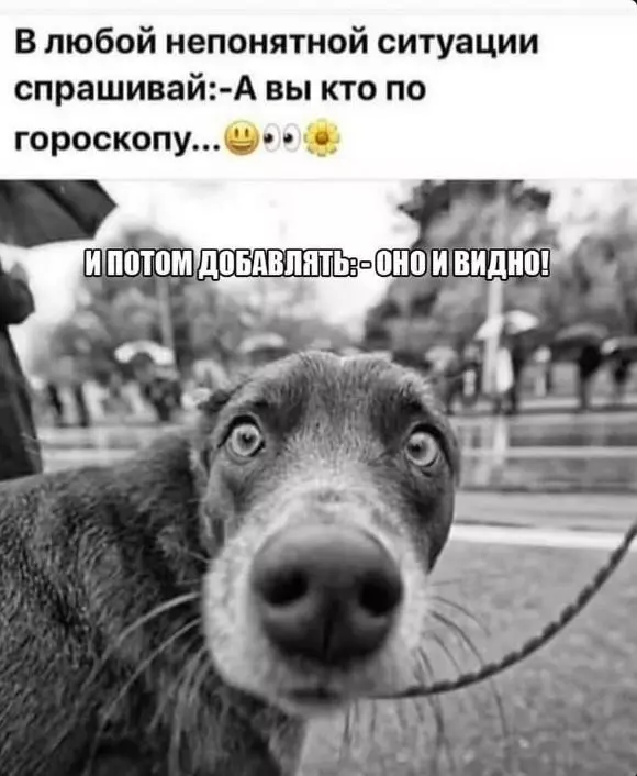 Посмеялся сам - поделись с другом!!!