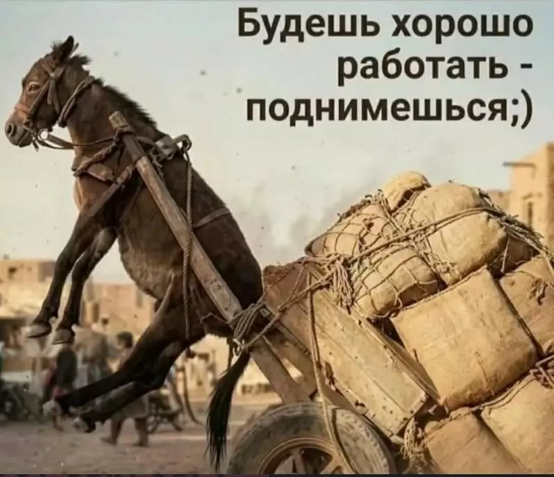 Посмеялся сам - поделись с другом!!!