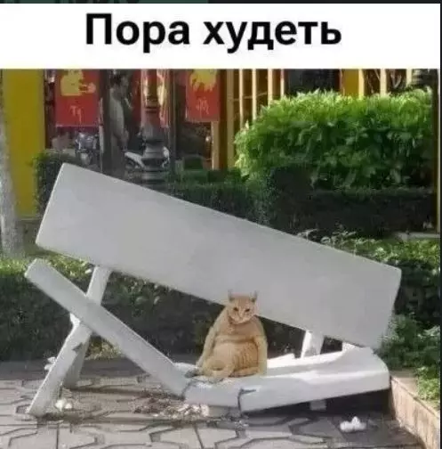 Посмеялся сам - поделись с другом!!!