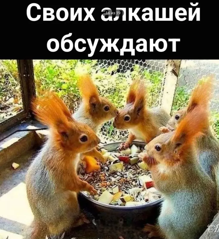 Посмеялся сам - поделись с другом!!!
